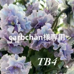 carbchan様専用•*¨*•.¸♬︎のサムネイル