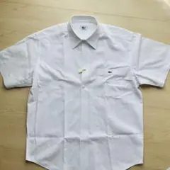 LACOSTE ラコステ 半袖シャツ ホワイト ボタンダウン クリーニング済のサムネイル