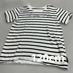 Item thumbnail for item 60cb1457-1d1e-42f6-8630-777d45f93f5c