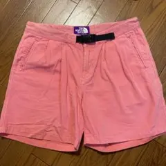 2026年最新】THE NORTH FACE PURPLE LABEL カラー：ピンク系 メンズ