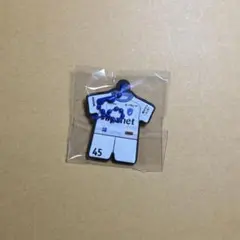 Vファーレン長崎　ノヒョンジュン選手　ラバユニキーホルダー