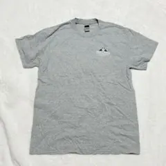 GILDAN グレー Tシャツ M JRTOC STEM Academy