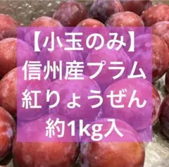 【小玉のみ】信州産プラム 紅りょうぜん　約1kg入のサムネイル