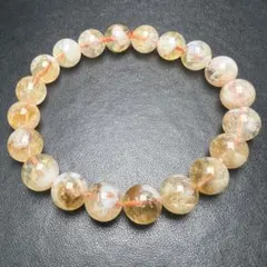 2025年最新】ブルーエンジェルラダーの人気アイテム - メルカリ