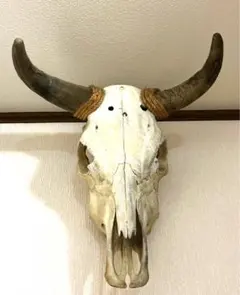 2025年最新】テキサスロングホーンの人気アイテム - メルカリ