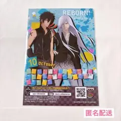 家庭教師ヒットマンREBORN! XANXUS&スクアーロ プリントキャラマイド