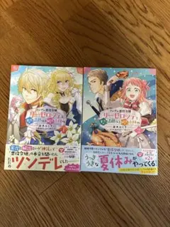 全巻セット【中古】DVD▼ツンデレ悪役令嬢リーゼロッテと実況の遠藤くんと解説の小林さん(4枚セット)第1話～第12話 最終 レンタル落ち 全巻セット【中古】DVD▽ツンデレ悪役令嬢リーゼロッテと実況の