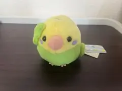 2025年最新】ことり隊 セキセイインコの人気アイテム - メルカリ