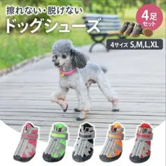 ドッグシューズ(ブラック・TypeA・Mサイズ)