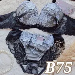 №1621【B75】ラディアントフルール育乳脇高ブラジャー&バック透けショーツ