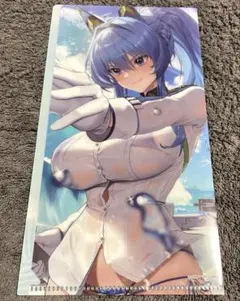 勝利の女神 NIKKE サマーフェア　トレーディングチケットホルダー ヘルム