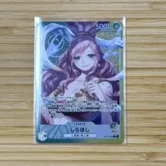 H&N様 リクエスト 2点 まとめ商品