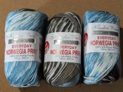 Everyday Norway Print COL21 まとめ売り