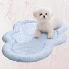 Item thumbnail for item 9b013bac-348e-48f3-ae17-1f48c34bc9bf