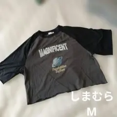 しまむらオーバーサイズショート丈トップスМのサムネイル