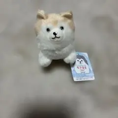 ころりんわんこのモフまる ぬいぐるみ
