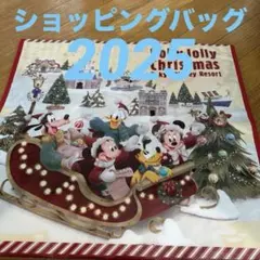 ディズニー　ショッピングバッグ　2枚　クリスマス　ダッフィ　くまあず様専用