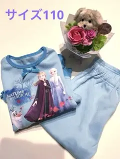 ディズニー　アナと雪の女王パジャマ　120 上下セット