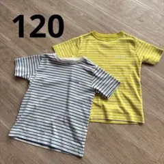 【mont-bell 】Tシャツ 2枚セット 120cm ボーダーのサムネイル
