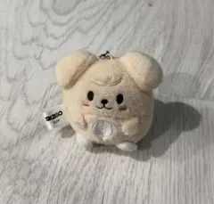 2026年最新】puppym ぬいぐるみの人気アイテム - メルカリ