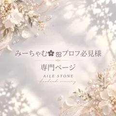 【みーちゃむ✿ฺ ஐプロフ必見様】専門ページ