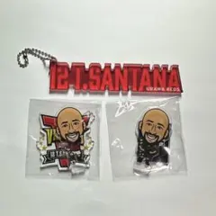 チアゴサンタナ 浦和レッズ アクリルキーホルダー - メルカリ