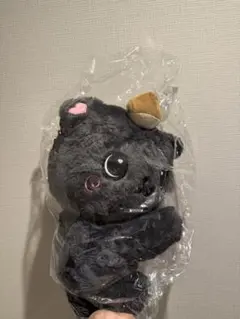 nct wish リク　キャラクターバッグ　ソウルコン MD カバン　クリ