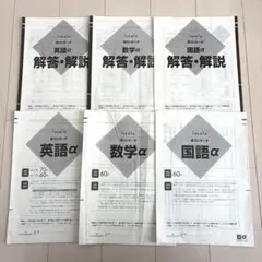 たこやき様 リクエスト 3点 まとめ商品