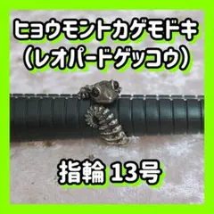 【最低価格！】ヒョウモントカゲモドキ リング 13号