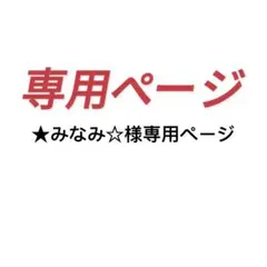 ★みなみ☆様専用ページ