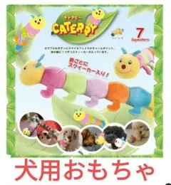 【犬用おもちゃ】プラッツ　キャタピーJr.のサムネイル