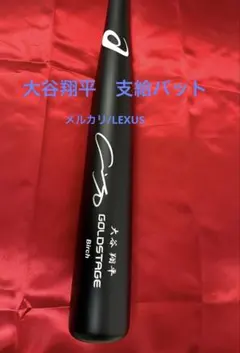 【貴重】大谷翔平 #日ハム時代@投手3冠グローブ公式品:直筆サイン入