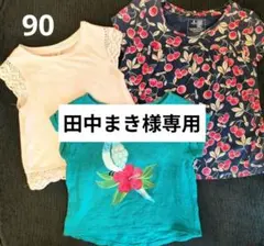 【田中まき様専用】baby Gap 90cm Tシャツ3枚セットのサムネイル