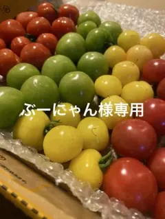 ぶーにゃん様専用です