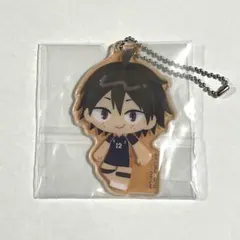 ハイキュー 一番くじ 劇場版 ゴミ捨て場の決戦 G賞 烏野アクリルチャーム 山口