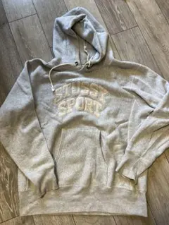 【希少】Stüssy ×champion リバースウィーブ