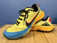 NIKE AIR ZOOM TERRA KIGER スニーカー