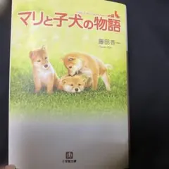 Item thumbnail for item b40ea1ae-9d3e-4f6b-93c7-4e91e809627f