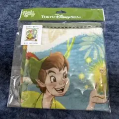 ディズニーシー　ファンタジースプリングス　ピーターパン　ウォッシュタオル
