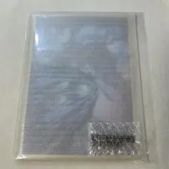 鬼滅の刃 WEBSHOPくじ 猗窩座 A賞 ビッグレイヤードアクリルパネル