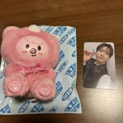 2026年最新】チャンビン ぬいぐるみの人気アイテム - メルカリ