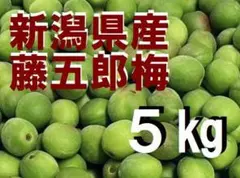 藤五郎梅 ラストセール！新潟県産 5kg 5900円◆梅干し 梅酒用のサムネイル