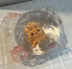 momo スクイーズ　海洋　イカ
