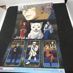 銀魂 坂田銀時 志村新八 神楽 万事屋 定春 ブロマイド セット ③