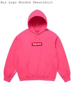 25FW Supreme Box Logo Hooded Sweatshirt