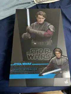 2026年最新】アナキン ホットトイズの人気アイテム - メルカリ