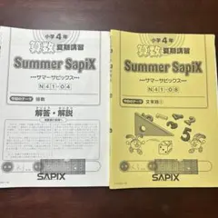 ⑪ SAPIX Summer SapiX 小学4年 算数　夏期講習