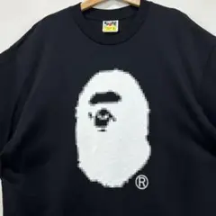 エイプ tシャツ トップス カットソー ブランド プリント ロゴ ブラック