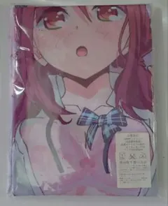 SDVX レイシス ロングクッションカバー - メルカリ