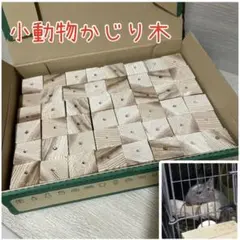 小動物かじり木48個入りのサムネイル